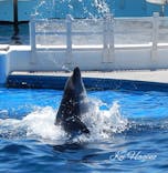 京都水族館に投稿された画像（2021/5/31）