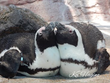 京都水族館に投稿された画像（2021/5/31）