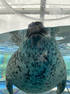 京都水族館に投稿された画像（2021/5/31）