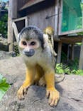 伊豆シャボテン動物公園に投稿された画像（2021/5/31）