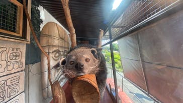 伊豆シャボテン動物公園に投稿された画像（2021/5/31）