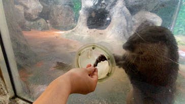 伊豆シャボテン動物公園に投稿された画像（2021/5/31）