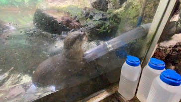 伊豆シャボテン動物公園に投稿された画像（2021/5/31）