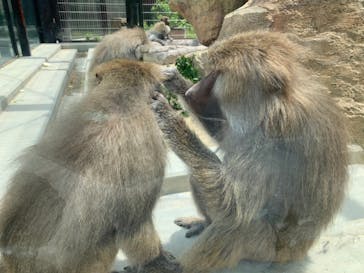 東武動物公園に投稿された画像（2021/5/31）