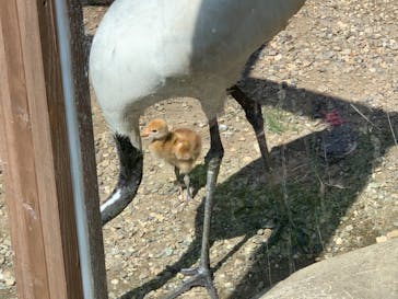 体感型動物園iZooに投稿された画像（2021/5/31）