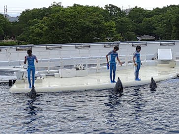 京都水族館に投稿された画像（2021/5/31）