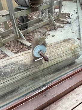 横浜・八景島シーパラダイスに投稿された画像（2021/6/1）