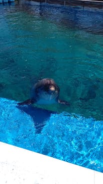 横浜・八景島シーパラダイスに投稿された画像（2021/6/1）