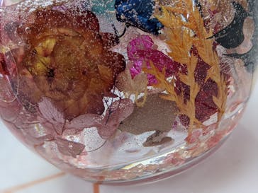 ずこうしつ〜sugamo〜に投稿された画像（2021/6/1）