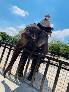 那須サファリパークに投稿された画像（2021/6/1）