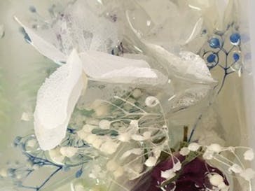 ずこうしつ〜sugamo〜に投稿された画像（2021/6/1）