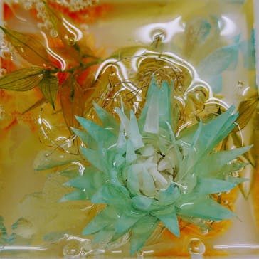 ずこうしつ〜sugamo〜に投稿された画像（2021/6/1）