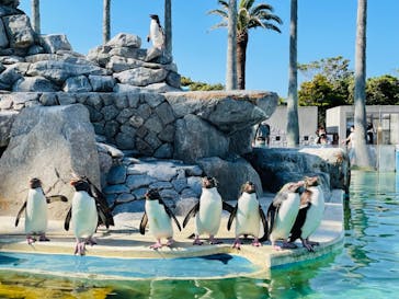 京急油壺マリンパークに投稿された画像（2021/6/1）