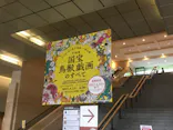 特別展「国宝　鳥獣戯画のすべて」に投稿された画像（2021/6/1）