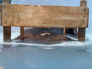 京急油壺マリンパークに投稿された画像（2021/6/1）