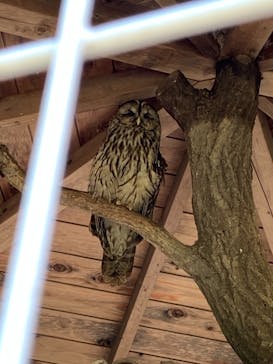 京急油壺マリンパークに投稿された画像（2021/6/1）