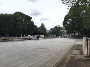 特別展「国宝　鳥獣戯画のすべて」に投稿された画像（2021/6/2）