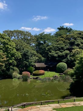 特別展「国宝　鳥獣戯画のすべて」に投稿された画像（2021/6/2）