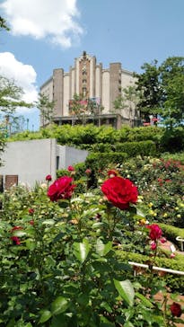 西武園ゆうえんちに投稿された画像（2021/6/2）