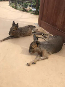 横浜・八景島シーパラダイスに投稿された画像（2021/6/2）