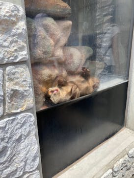 京急油壺マリンパークに投稿された画像（2021/6/2）