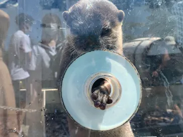 横浜・八景島シーパラダイスに投稿された画像（2021/6/2）
