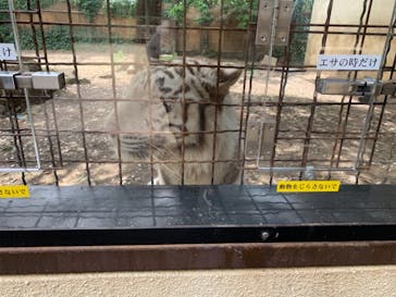 群馬サファリパークに投稿された画像（2021/6/2）