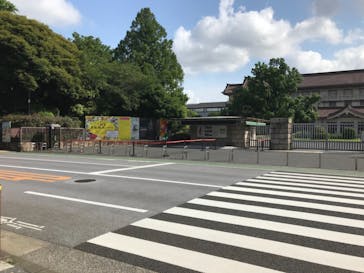 特別展「国宝　鳥獣戯画のすべて」に投稿された画像（2021/6/3）