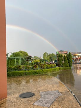 東武動物公園に投稿された画像（2021/6/3）