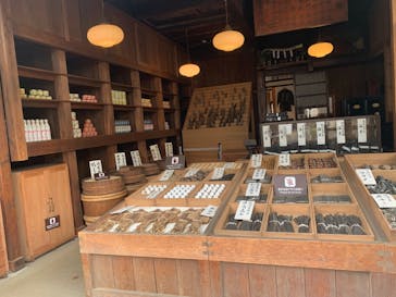 江戸東京たてもの園に投稿された画像（2021/6/3）