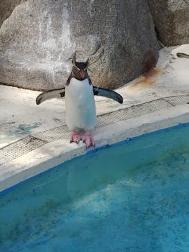 京急油壺マリンパークに投稿された画像（2021/6/3）