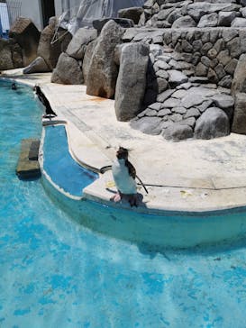 京急油壺マリンパークに投稿された画像（2021/6/3）