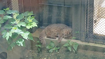 沖縄こどもの国に投稿された画像（2021/6/3）