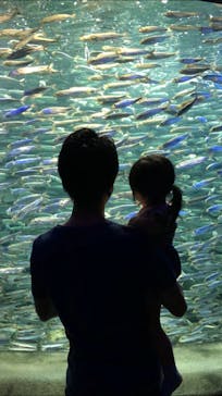 サンシャイン水族館に投稿された画像（2021/6/4）