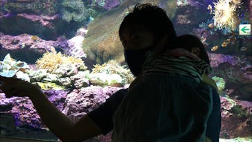 サンシャイン水族館に投稿された画像（2021/6/4）
