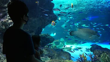 サンシャイン水族館に投稿された画像（2021/6/4）