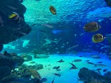 サンシャイン水族館に投稿された画像（2021/6/4）