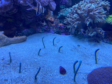 サンシャイン水族館に投稿された画像（2021/6/4）