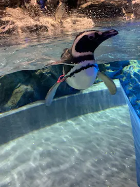 すみだ水族館に投稿された画像（2021/6/4）
