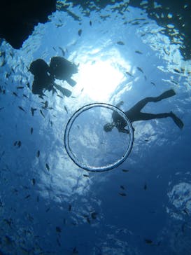 武藤潜水に投稿された画像（2021/6/4）