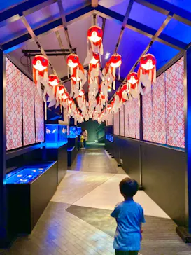 すみだ水族館に投稿された画像（2021/6/4）