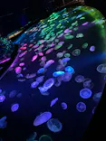 すみだ水族館に投稿された画像（2021/6/4）