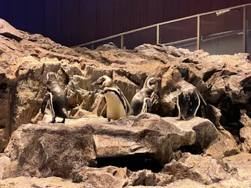 すみだ水族館に投稿された画像（2021/6/4）