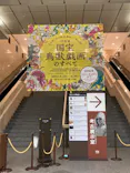 特別展「国宝　鳥獣戯画のすべて」に投稿された画像（2021/6/4）