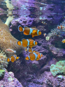 サンシャイン水族館に投稿された画像（2021/6/4）