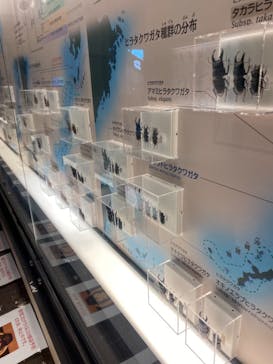 国立科学博物館に投稿された画像（2021/6/4）