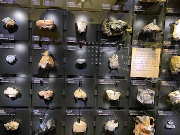 国立科学博物館に投稿された画像（2021/6/4）