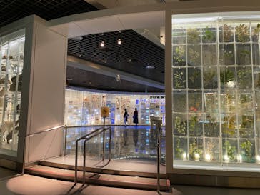 国立科学博物館に投稿された画像（2021/6/4）