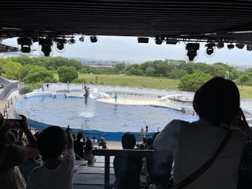 京都水族館に投稿された画像（2021/6/5）