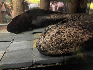 京都水族館に投稿された画像（2021/6/5）